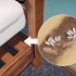 Een bedwantsenplaag identifiseern