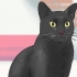 Een bombay kat identifiseer
