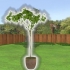 Plant 'n boom