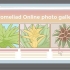 Versorging van 'n bromelia