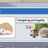 Een egel versorgen