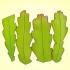 Kweek 'n epiphyllum cactus