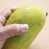 Een goeie mango uitsoek