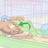 Een hamster trucjes leer