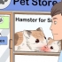 Een hamster versorgen