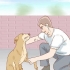 Een hond help herstellen van 'n gebroke poot