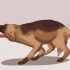 Een hond kalmeren