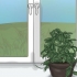 Laat 'n hoya-plant blom