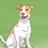 Een jack russell hondjie uitkiezen