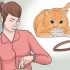 Een kat 'n halsband om te doen