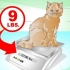Een kat laten aankomen