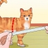 Een kat leer aan die riem te loop