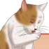 Een kat op vlooien kontroleer