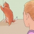 Een krolse kat kalmeren