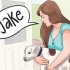 Een naam verzinnen vir jou hondjie van hond