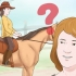 Een paard trainen