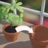 Verplant 'n plant