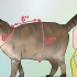 Een tuigje maak vir jou mollige kat