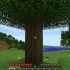 Hoe om 'n bord in minecraft te skep