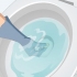 Herwin 'n voorwerp wat in die toilet geval het