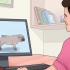 Fokken met honde