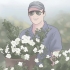 Plant gardenias