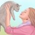 Genegenheid toon aan 'n kat