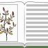 Kweek van gesonde plante