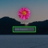 Stel die administrateurwagwoord terug op mac os x