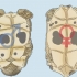 Het geslag van 'n schildpad vaststellen