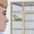 Het vertrou van jou vogel te wen