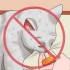 Het weren van katten
