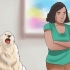 Honden laten stoppen met janken