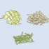 Groeiende infusoria