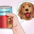 Jy hond 'n pil laat slikken