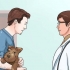 Je hond help by die werpe