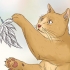 Je kat by je laat slapen