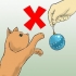 Je kerstboom teen katten beskerm