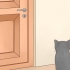 Katten uit 'n kamer hou
