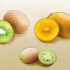 Kweek kiwi's