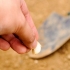 Knoflook gedrogen