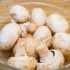 Koken met paddenstoelen