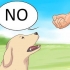 Nee sê teen jou hond