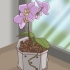 Oorplanting van orgideë