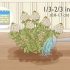 Sorg vir paniekhortensia's