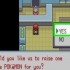 Broei pokémon eiers uit