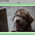 Maak powerpoint-aanbiedings kleiner
