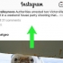 Plaas of vee opmerkings op instagram-foto's uit