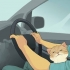 Reizen met 'n kat