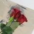 Hou rose vars
